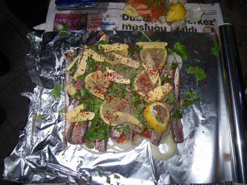 IMGP1508-r.jpg