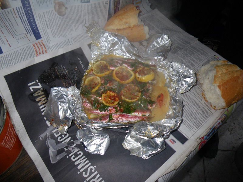 IMGP1510-r.jpg