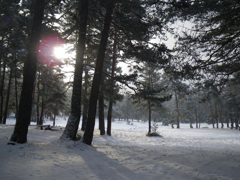 IMGP1520.jpg