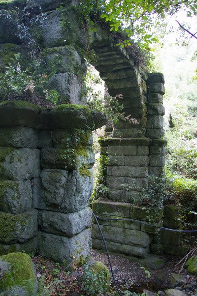 IMGP1785.jpg