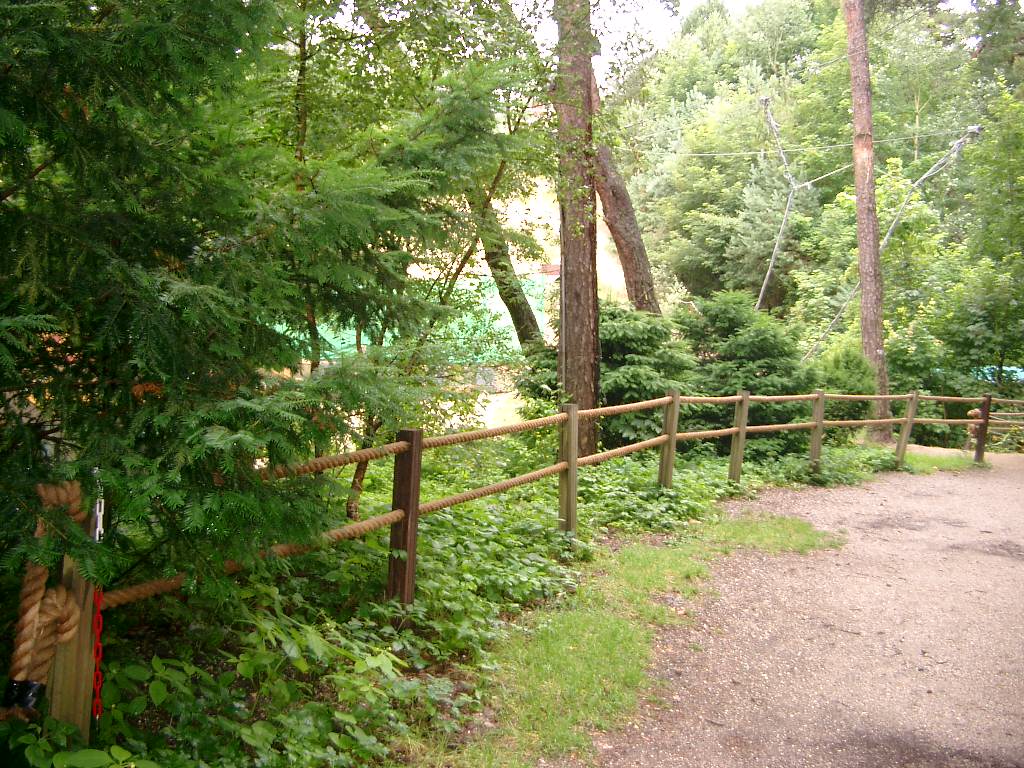 IMGP2874.JPG
