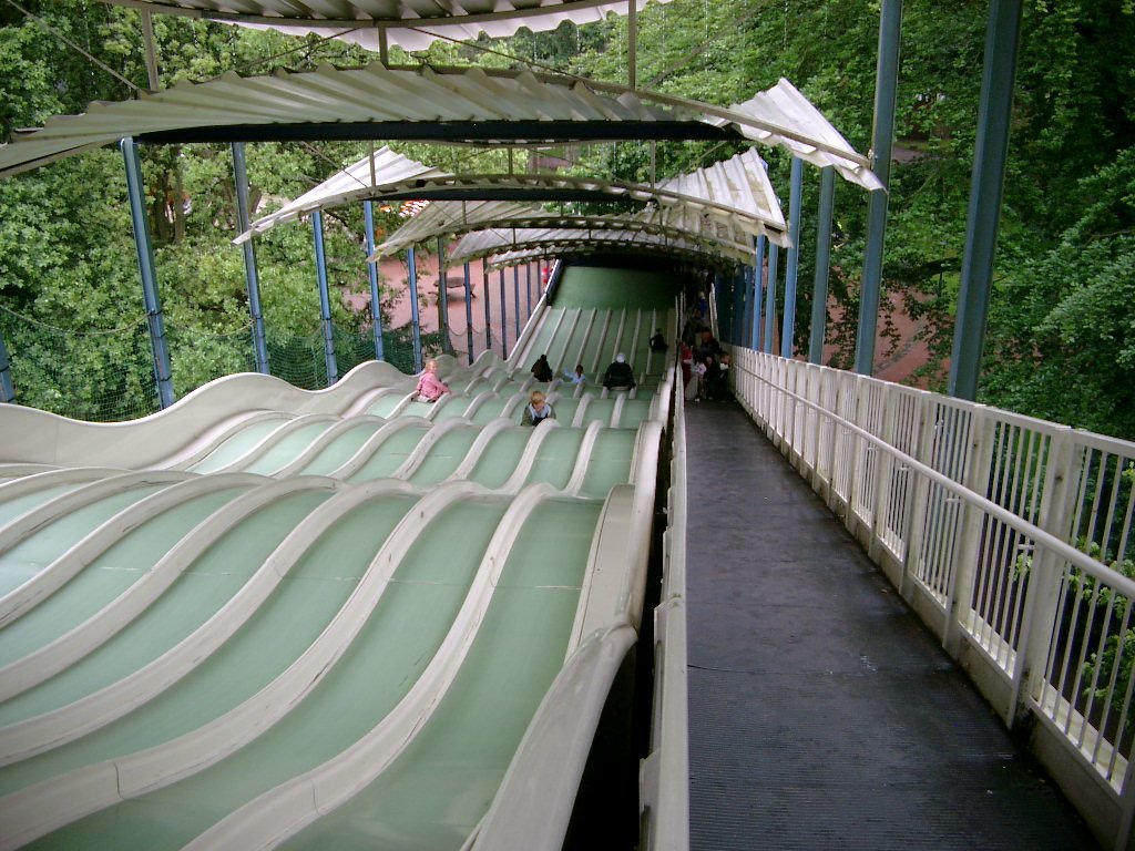 IMGP2893.JPG