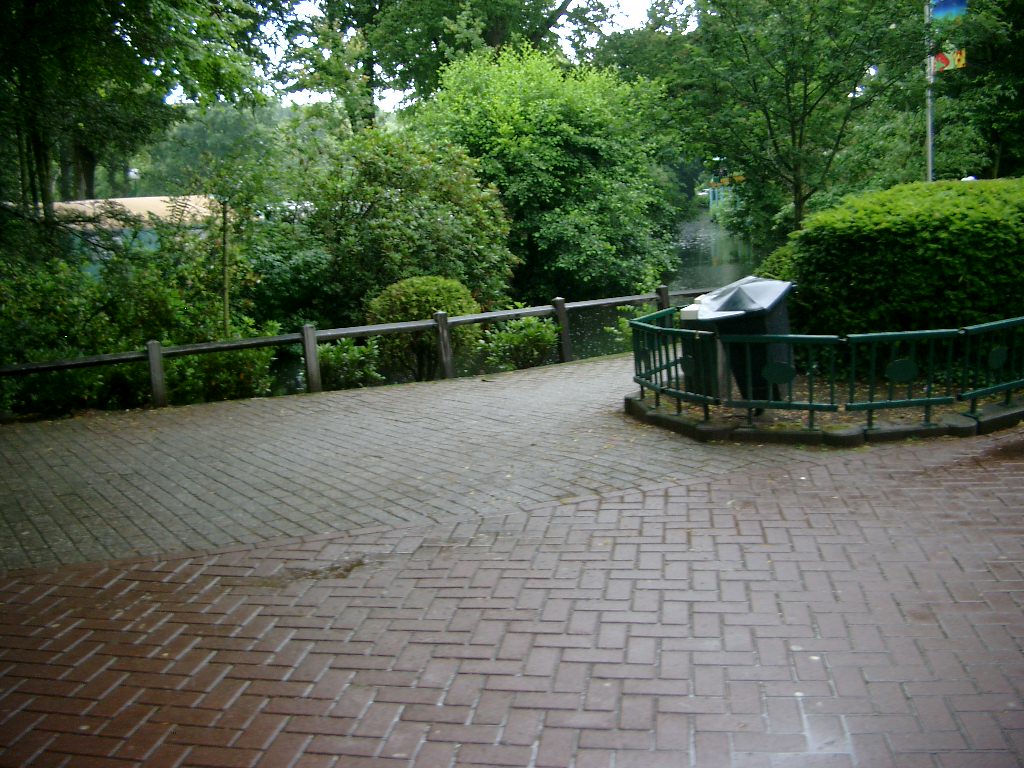 IMGP2908.JPG