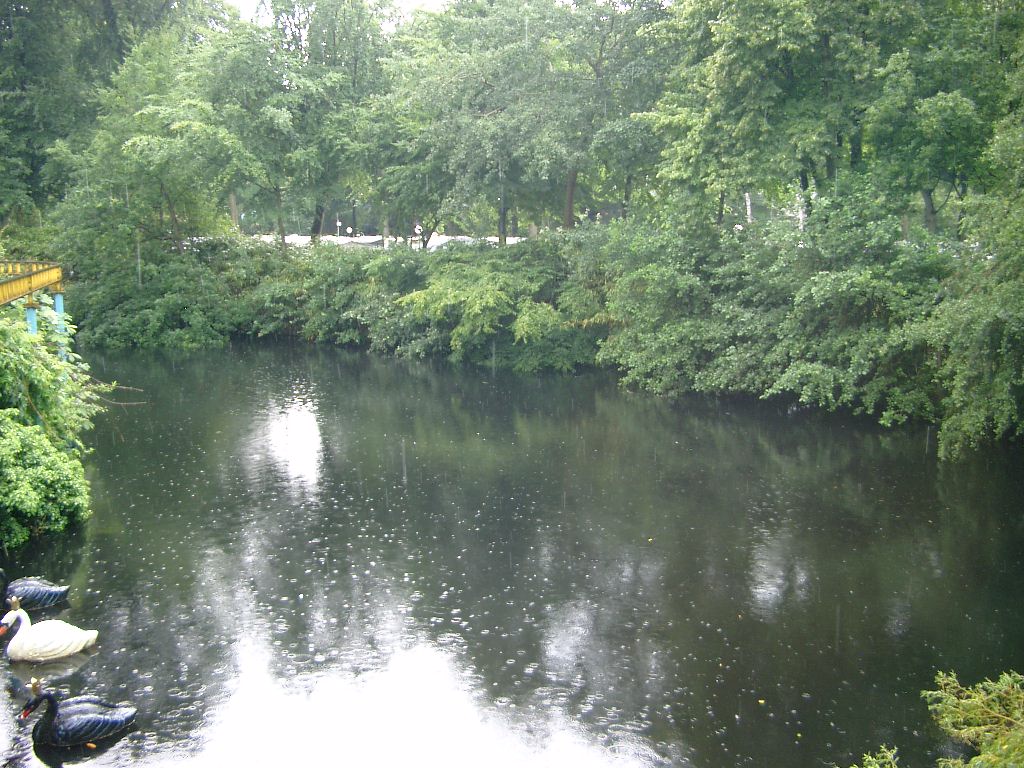 IMGP2920.JPG