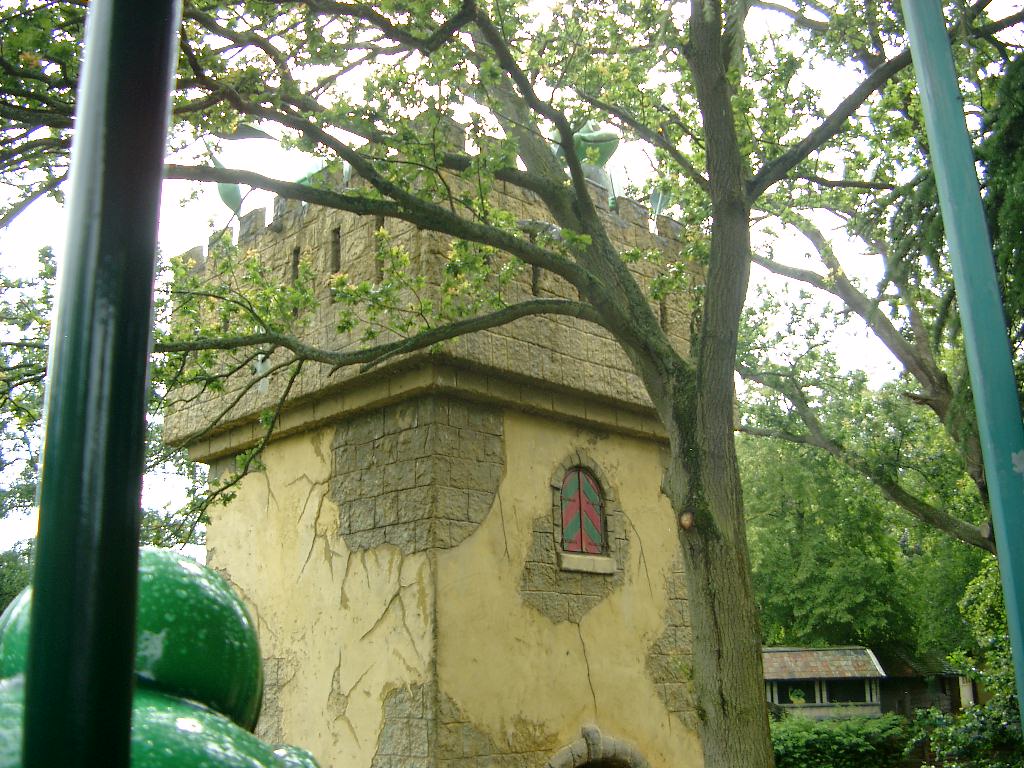 IMGP2950.JPG