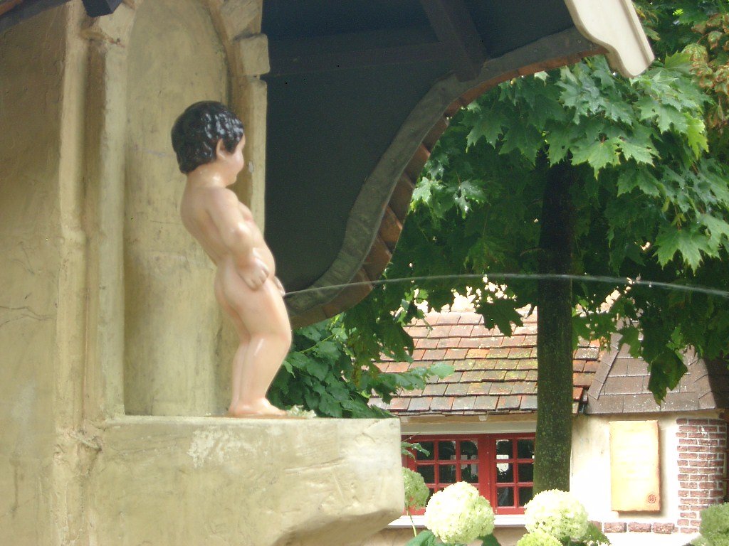IMGP2972.JPG