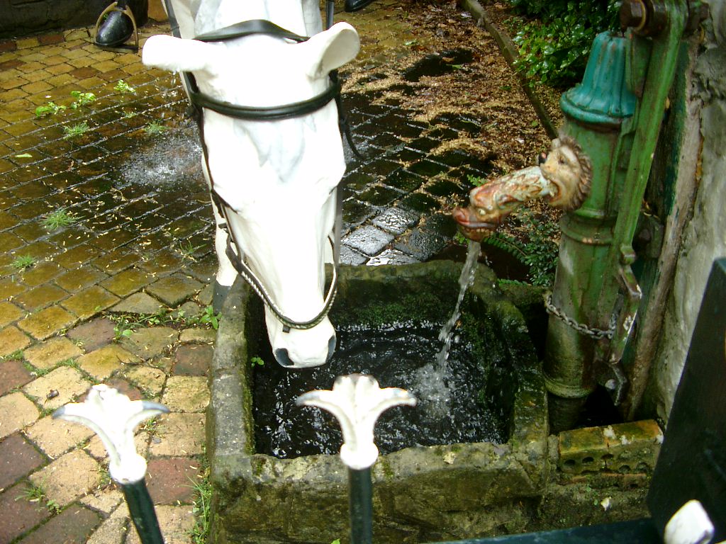 IMGP2973.JPG