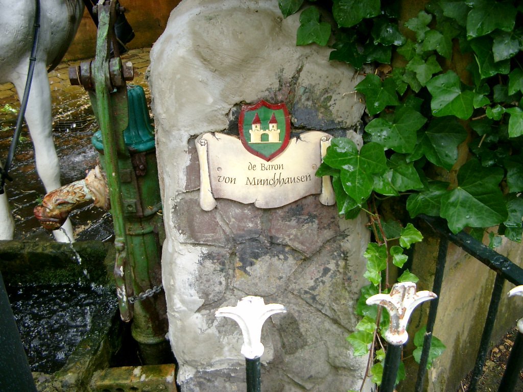IMGP2974.JPG