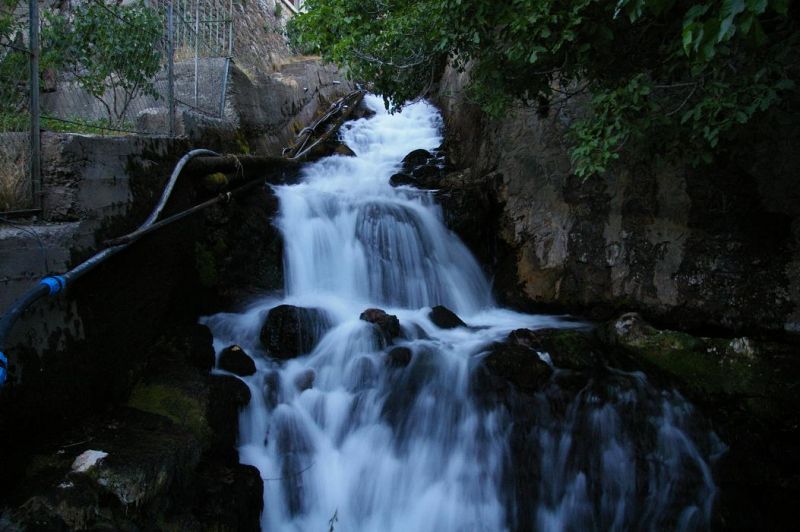 IMGP2980.jpg