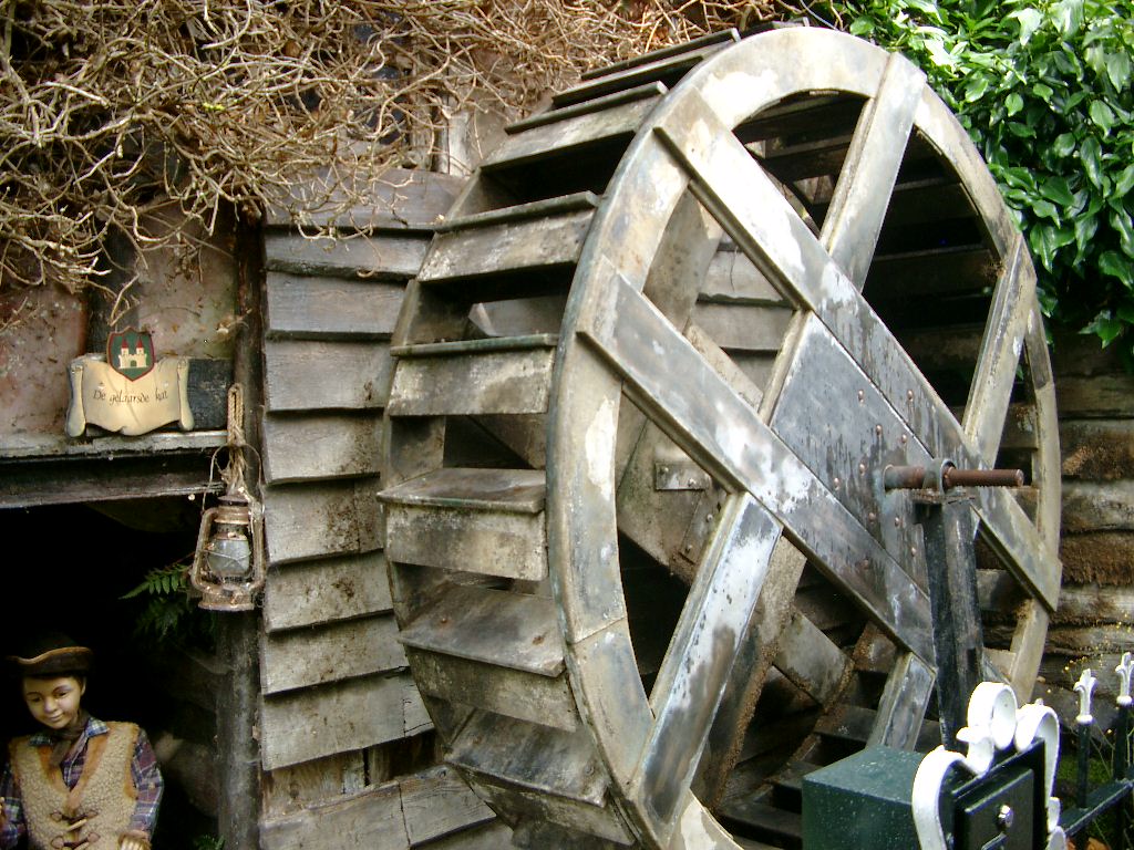 IMGP2989.JPG