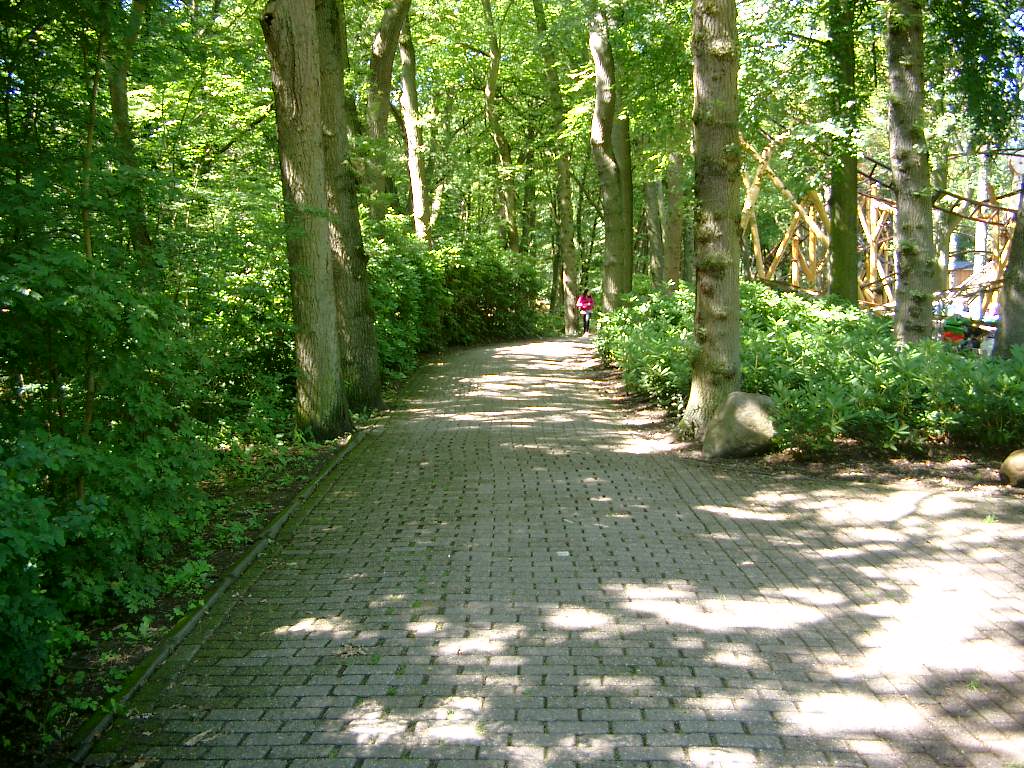 IMGP3118.JPG