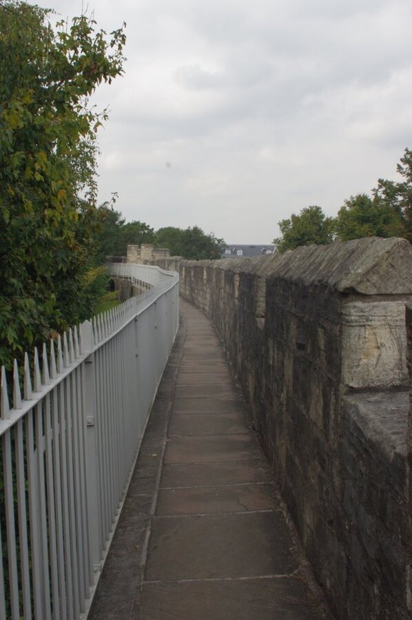 IMGP3269.jpg
