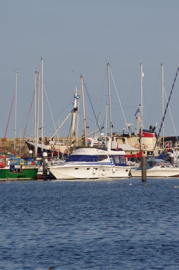 IMGP3476.jpg