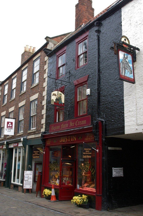 IMGP3682.jpg