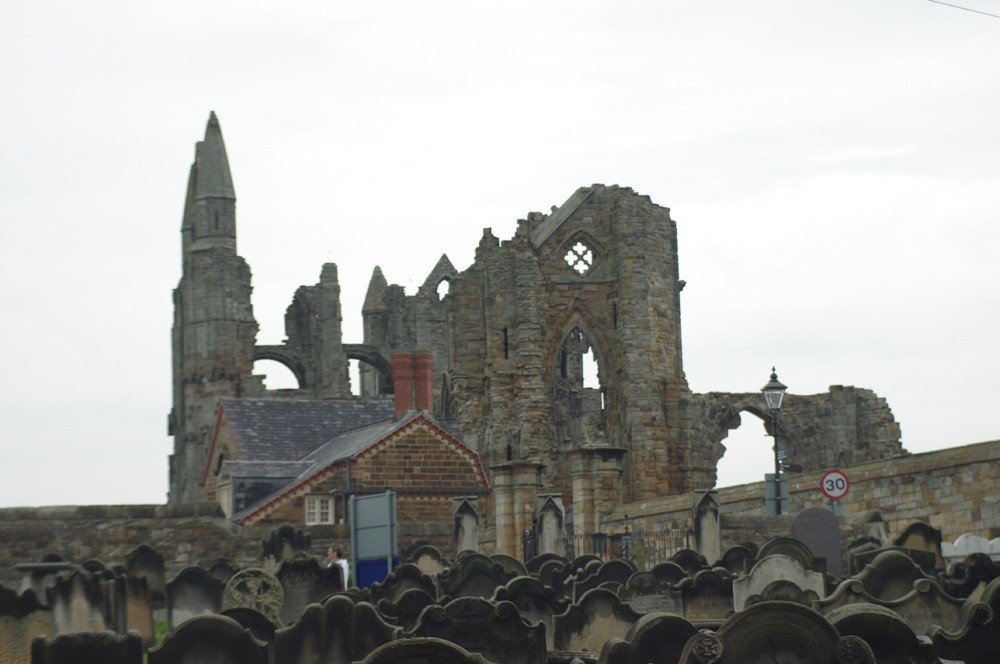 IMGP3734.jpg