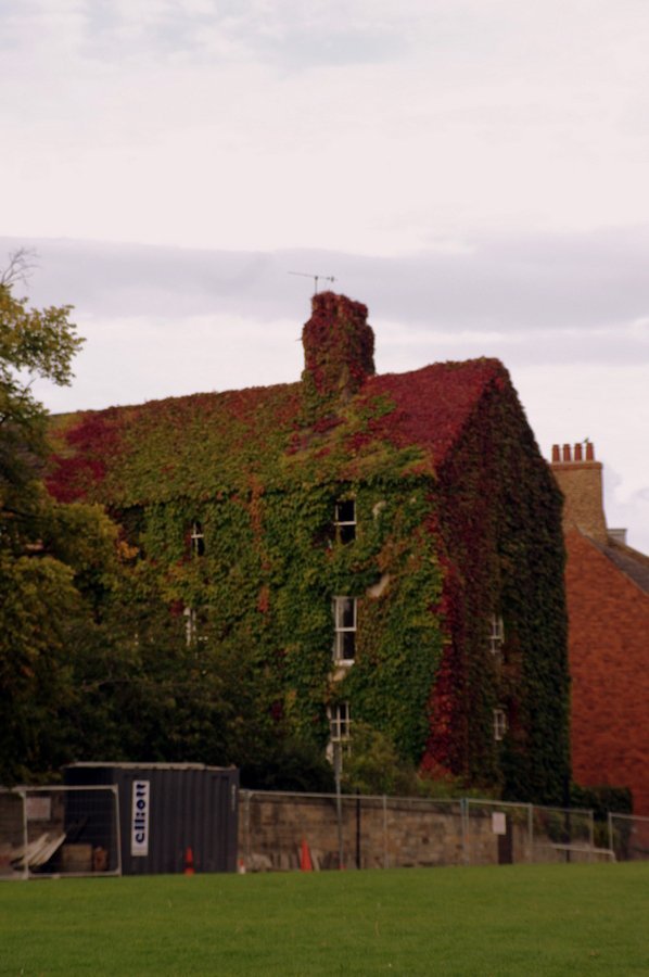 IMGP3878.JPG