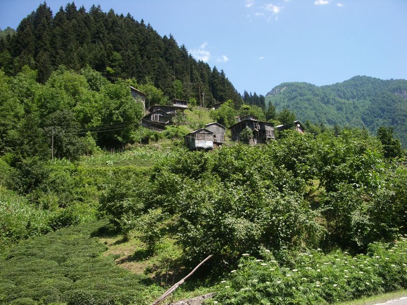 IMGP4054.jpg