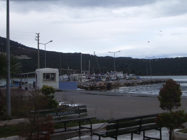 IMGP4571.JPG