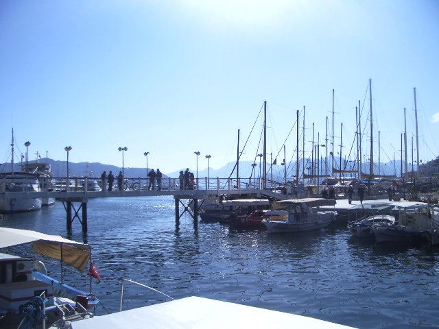 IMGP4815.JPG