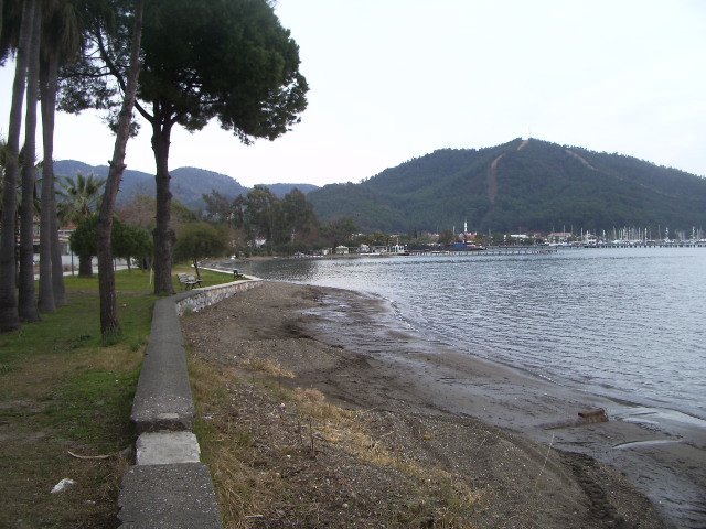 IMGP4864.JPG