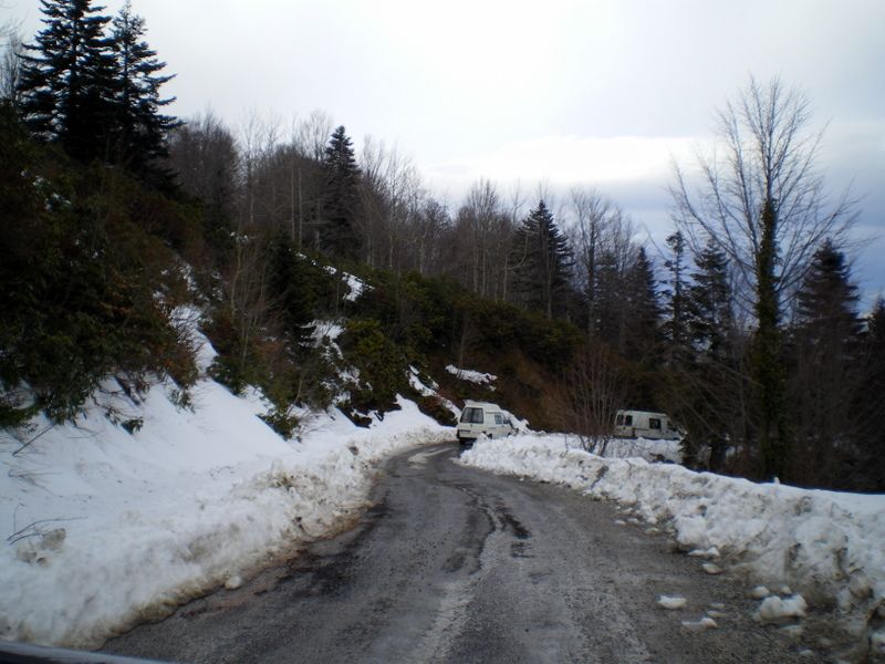 IMGP5677.jpg