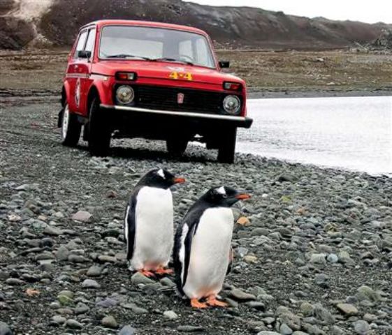 inter_0000_Penguins.jpg