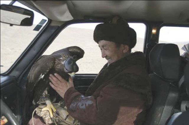 Inter Kazak man with his eagle