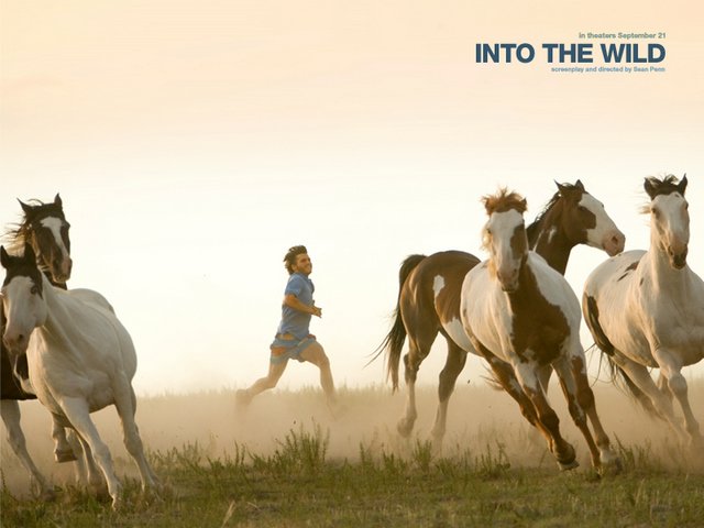 into the wild pferd-3.jpg