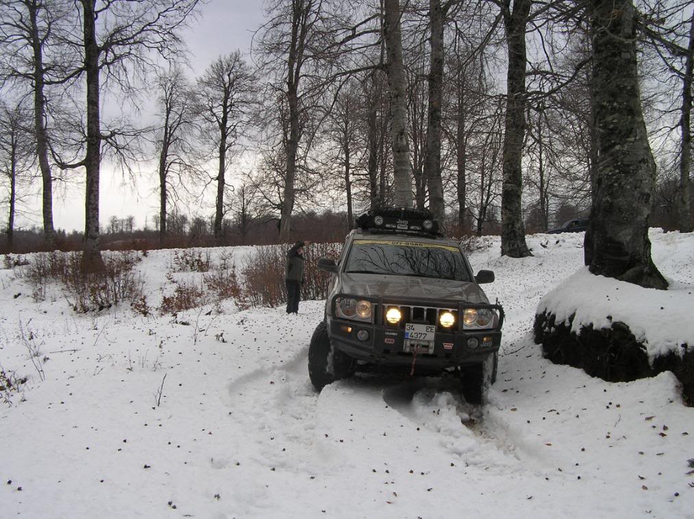 isoff037.jpg