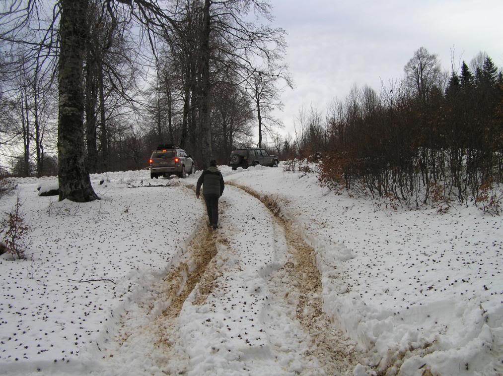 isoff043.jpg