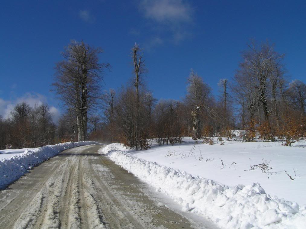 isoff067-1.jpg