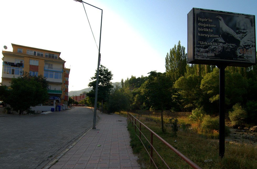 ispir.jpg