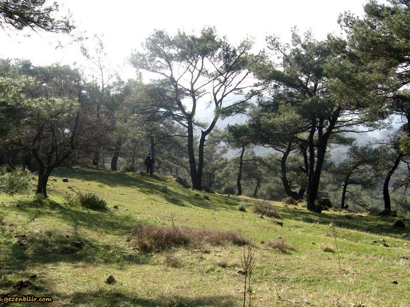 ist_denizli_ankara 343.jpg