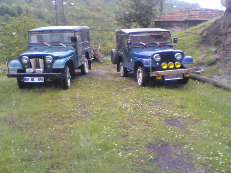 JPEG Image (7974583).jpg