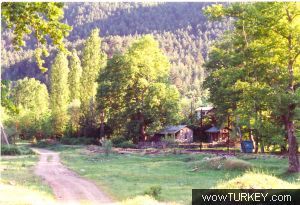 k_Ahmet_Nadir_Isisag_ScannedImage70.jpg