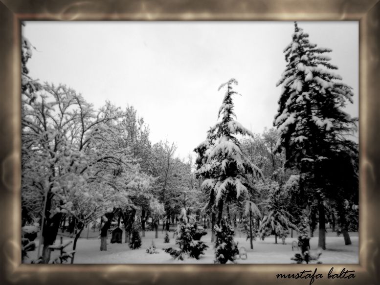 kÃƒÂƒÃ‚Â„ÃƒÂ‚Ã‚Â±ÃƒÂƒÃ‚Â…ÃƒÂ‚Ã‚ÂŸ 11.jpg