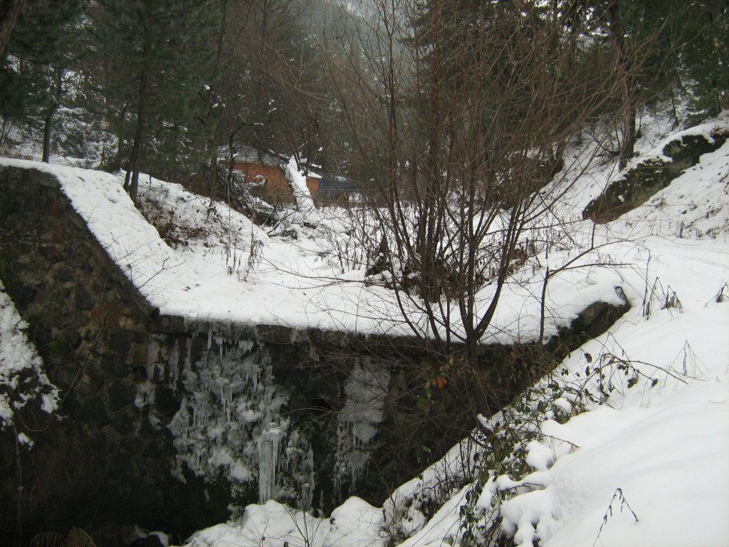 kÃƒÂƒÃ‚Â„ÃƒÂ‚Ã‚Â±zÃƒÂƒÃ‚Â„ÃƒÂ‚Ã‚Â±lcahamam-abant 019.JPG