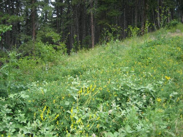 kÃƒÂƒÃ‚Â„ÃƒÂ‚Ã‚Â±zÃƒÂƒÃ‚Â„ÃƒÂ‚Ã‚Â±lcahamam soguksu 045.jpg