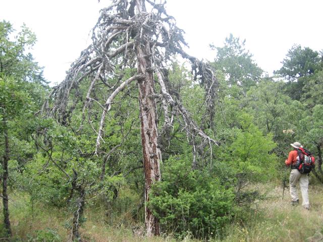 kÃƒÂƒÃ‚Â„ÃƒÂ‚Ã‚Â±zÃƒÂƒÃ‚Â„ÃƒÂ‚Ã‚Â±lcahamam soguksu 051.jpg