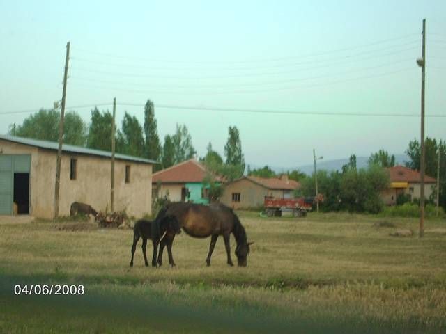 kÃƒÂƒÃ‚ÂƒÃƒÂ‚Ã‚Â¶y tay.jpg
