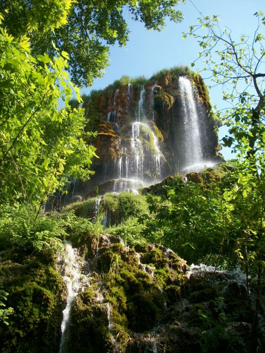 KAKLIK GÃƒÂƒÃ‚ÂƒÃƒÂ‚Ã‚ÂœNEY 002.jpg