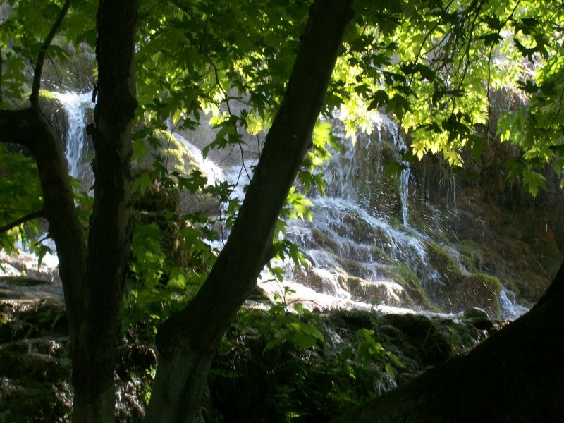 KAKLIK GÃƒÂƒÃ‚ÂƒÃƒÂ‚Ã‚ÂœNEY 003.jpg