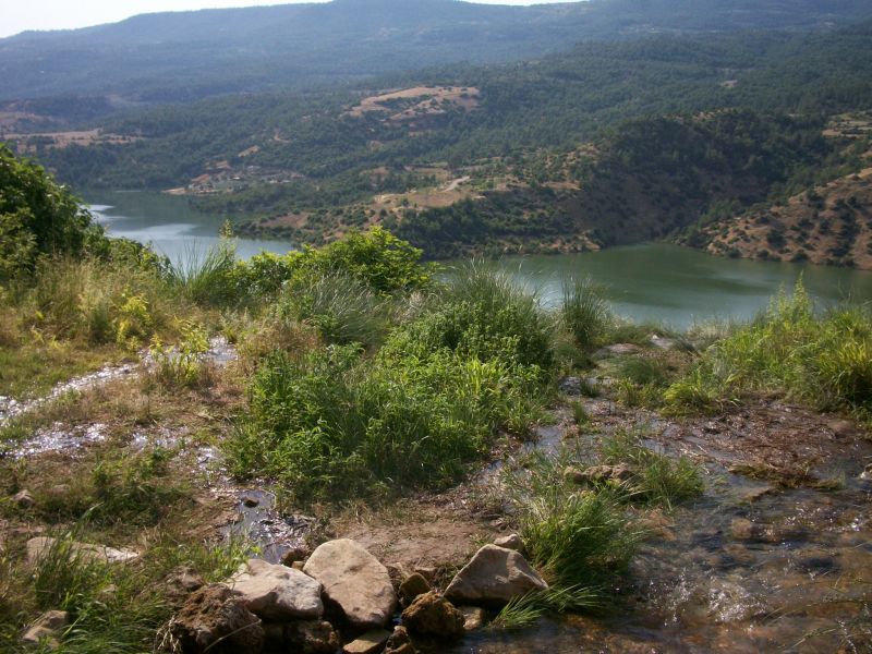 KAKLIK GÃƒÂƒÃ‚ÂƒÃƒÂ‚Ã‚ÂœNEY 004.jpg