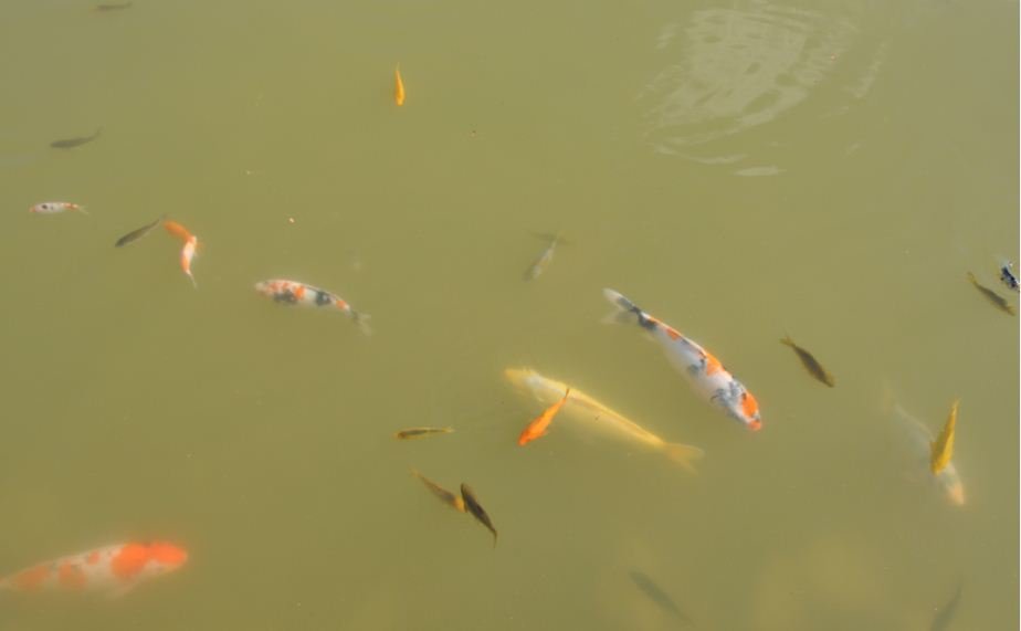 KalehÃƒÂƒÃ‚ÂƒÃƒÂ‚Ã‚Â¶yÃƒÂƒÃ‚ÂƒÃƒÂ‚Ã‚Â¼k-Kaman_KÃƒÂƒÃ‚Â„ÃƒÂ‚Ã‚Â±rÃƒÂƒÃ‚Â…ÃƒÂ‚Ã‚ÂŸehir (3).JPG