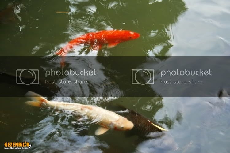 Kanazawa035.jpg