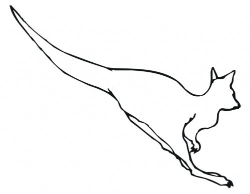 kanguru1.jpg