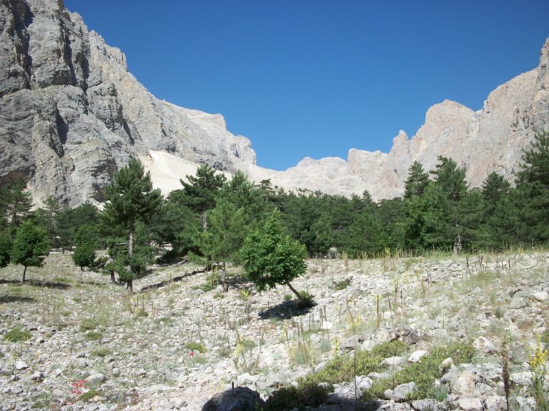 kapuzbaÃƒÂƒÃ‚Â…ÃƒÂ‚Ã‚ÂŸÃƒÂƒÃ‚Â„ÃƒÂ‚Ã‚Â± (145).JPG