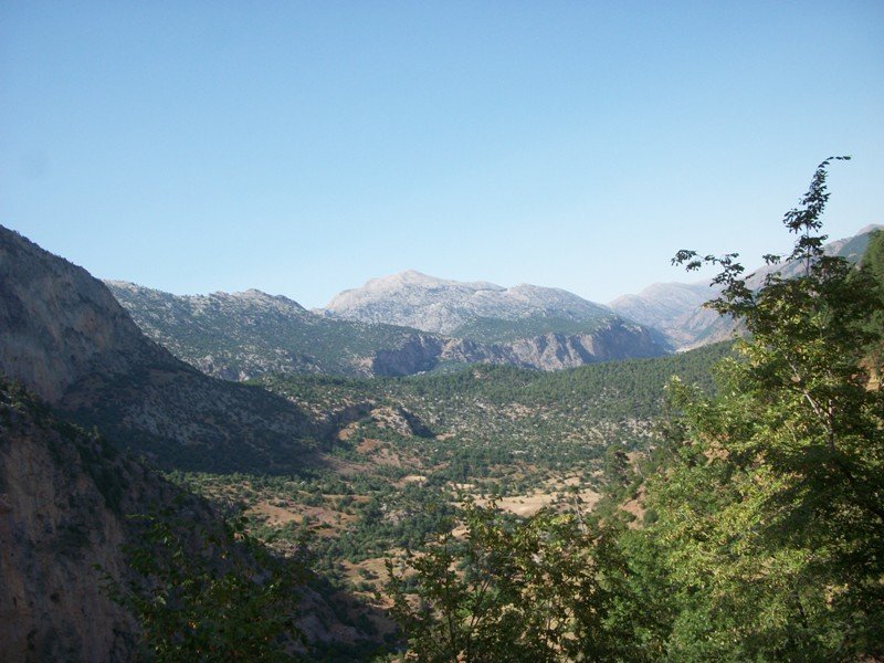 kapuzbaÃƒÂƒÃ‚Â…ÃƒÂ‚Ã‚ÂŸÃƒÂƒÃ‚Â„ÃƒÂ‚Ã‚Â± (178).JPG