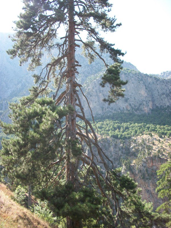 kapuzbaÃƒÂƒÃ‚Â…ÃƒÂ‚Ã‚ÂŸÃƒÂƒÃ‚Â„ÃƒÂ‚Ã‚Â± (179).JPG