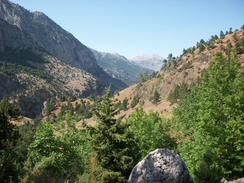 kapuzbaÃƒÂƒÃ‚Â…ÃƒÂ‚Ã‚ÂŸÃƒÂƒÃ‚Â„ÃƒÂ‚Ã‚Â± (183).JPG